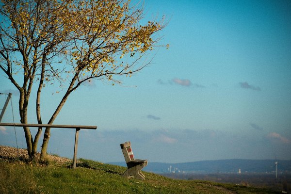 Comprendre la liste d'attente parcoursup pour le pass : astuces pour mieux vivre l'attente