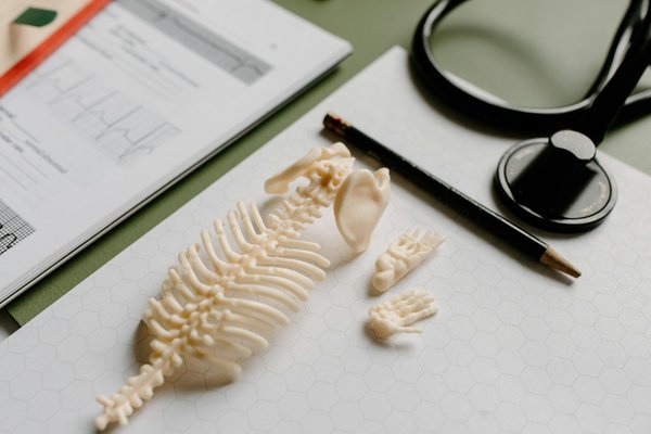 La cardiologie pédiatrique : une spécialisation dédiée aux plus petits